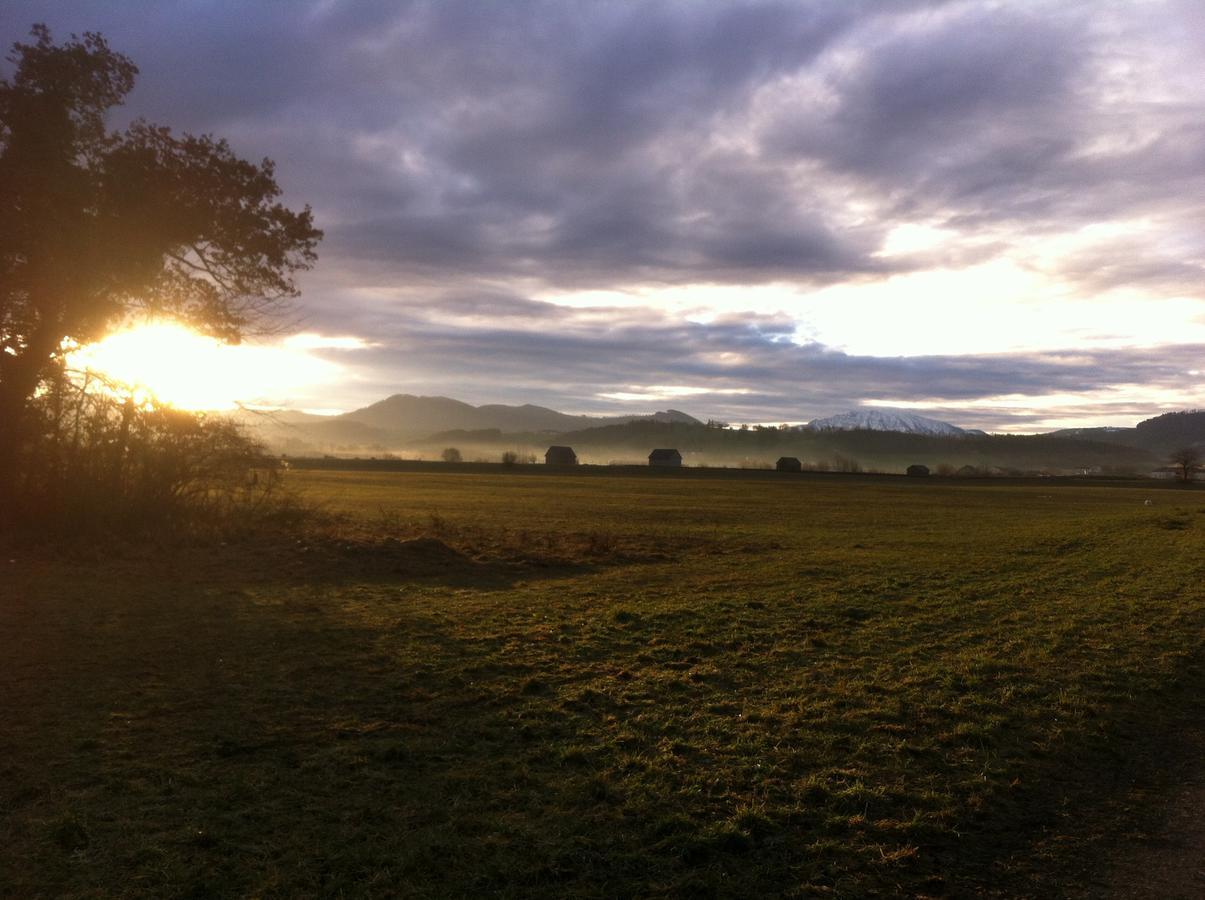 Gasthof Teufl Purgstall an der Erlauf エクステリア 写真