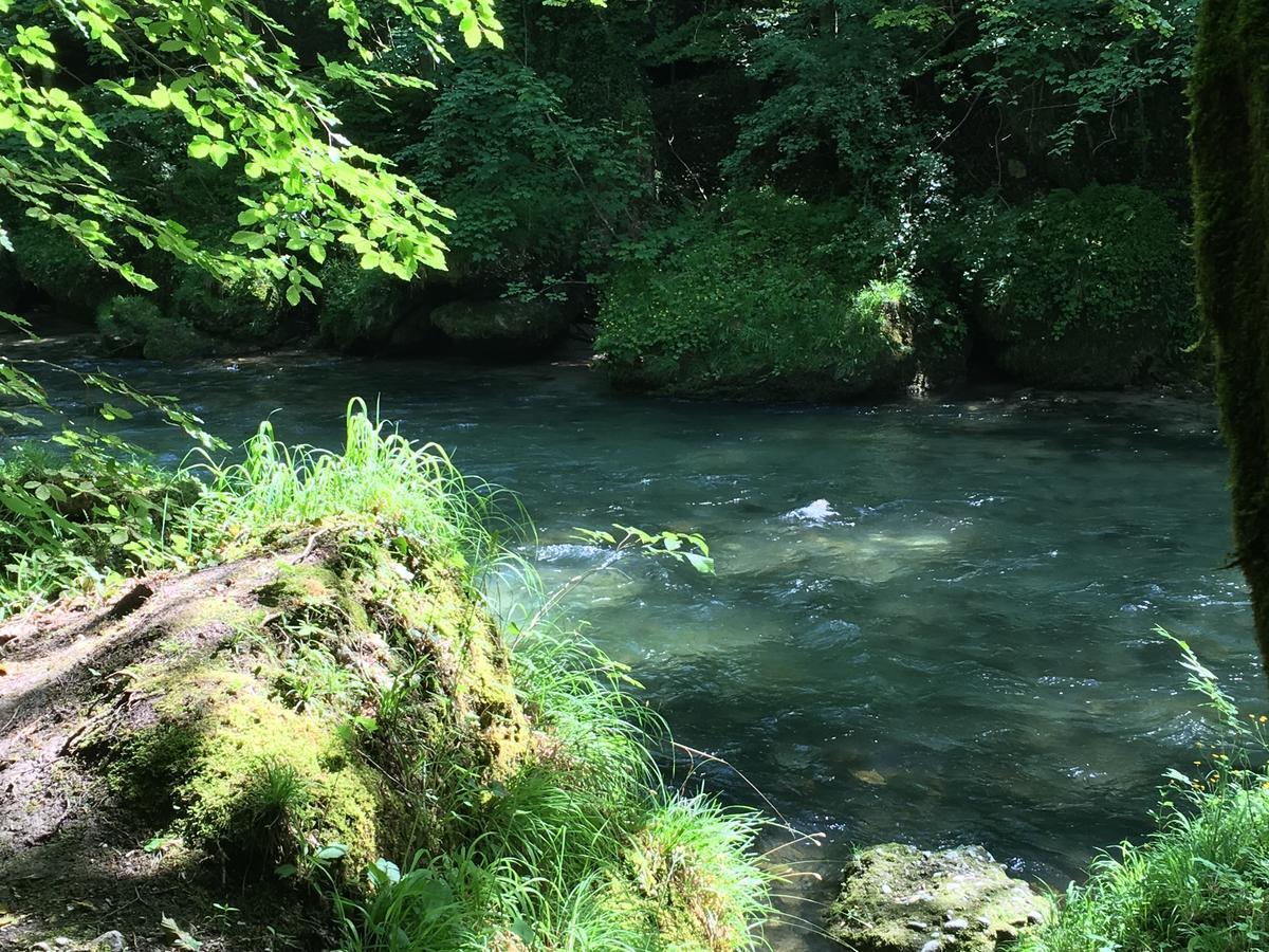 Gasthof Teufl Purgstall an der Erlauf エクステリア 写真
